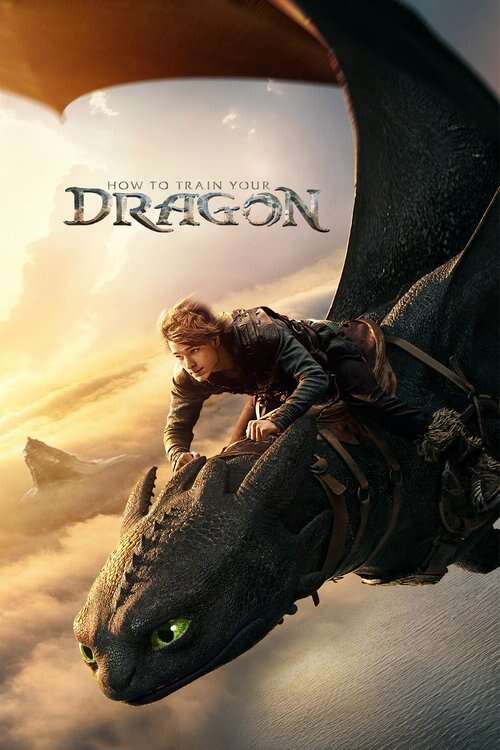 HOW TO TRAIN YOUR DRAGON--- 3DIMAX