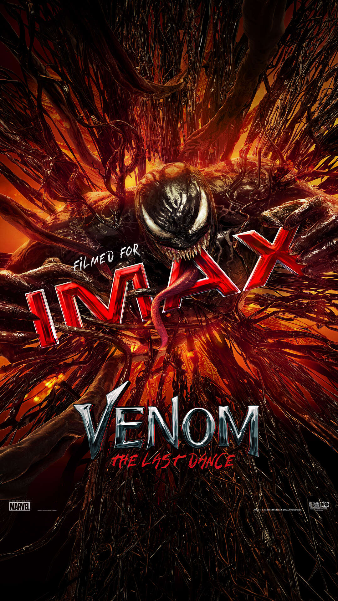 Venom The Last Dance - 3D IMAX